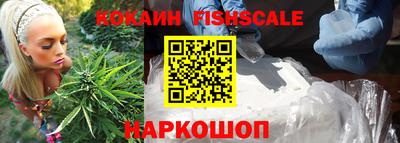шишки Тара