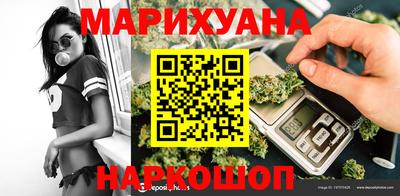 шишки Тара