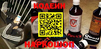 шишки Тара