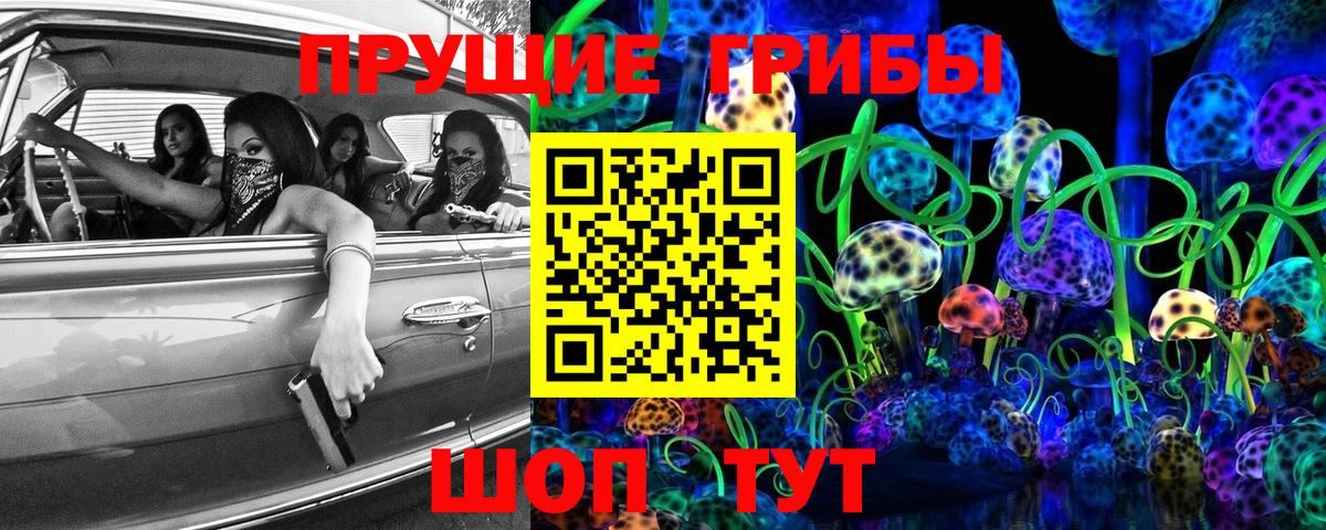 Можга  где найти наркотики  Вход с VPN  Псилоцибиновые грибы мицелий 